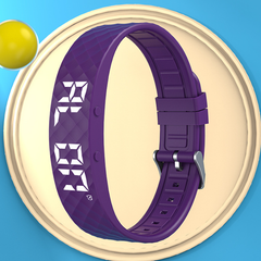 Smart Wristband Bracelet